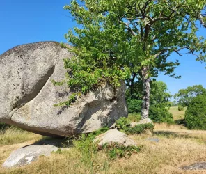 © Commune de Sèvremoine