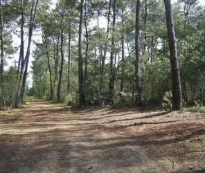 Communauté de communes du Loir