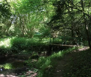 © Service d'Actions Touristiques de Chemillé