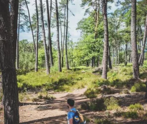 © OT 4CPS - Destination Coco