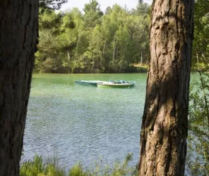 Syndicat du Pays du Mans