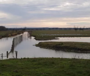 P.Gaborieau Michelon