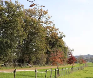 ©claire-bodin_OTlesherbiers