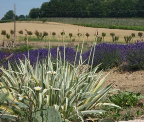 © Office de Tourisme