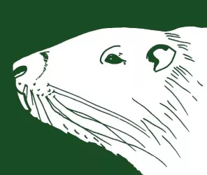 Parc naturel du Marais poitevin