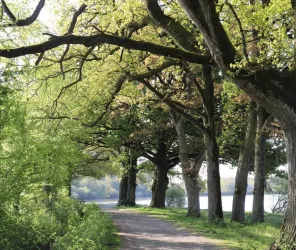 ©OT-PaysdesHerbiers