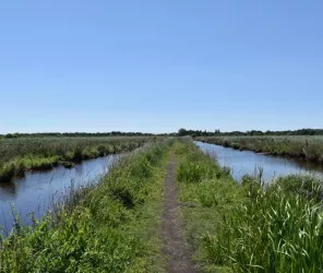 Saint-Nazaire Agglomération Tourisme / Matthias Arteaga