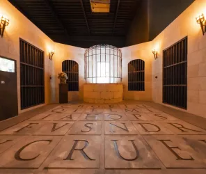 Theo Narcisse Agency