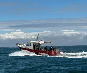 Cooleur-Plongee-piriac