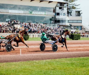 Hippodrome d'Angers