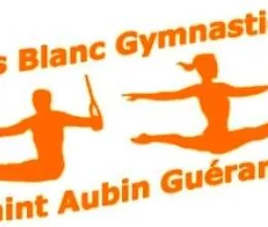 Salle des Sports Gymnastique du Pays Blanc