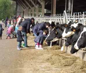 ferme de la pequiniere