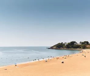 ©Alexandre Lamoureux