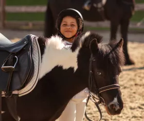 Communauté de Communes Châteaubriant-Derval