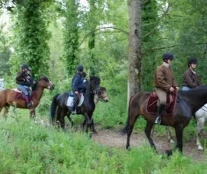 Domaine équestre de Geneston 