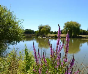 ©Mairie_Grandchamp-des-Fontaines