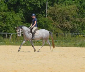 Les écuries de Mandy