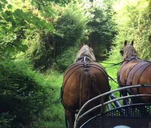 ©Office de Tourisme de l'Anjou bleu