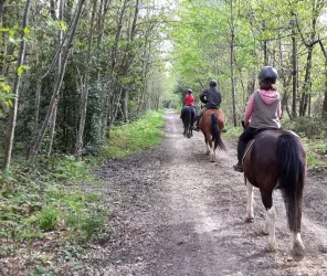 ChevalSaintLaud Sébastien Gascoin
