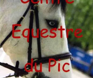 ©centre equestre
