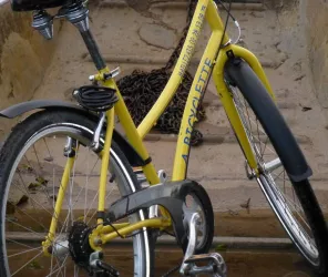 copyright blondelle rodolphe