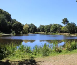 PaysdesHerbiers - servicecom