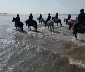 OT Pays de Saint Jean de Monts