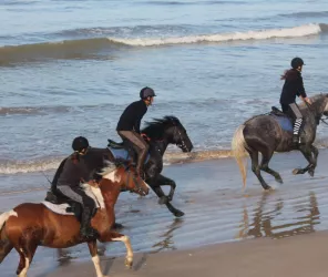 OT Pays de Saint Jean de Monts