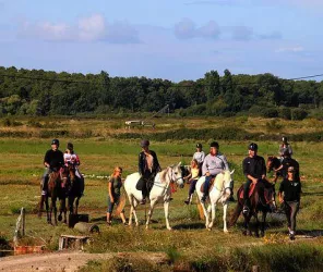 ECURIES BOIS DE LA TOUCHE