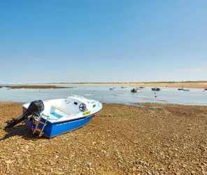 © Alexandre Lamoureux