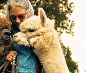 PIERRE OLLIER  -  ONSHORE STUDIO