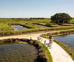 Veloo de la forêt - Simon Bourcier