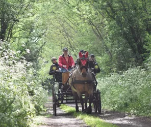 CADC prestataire services équins