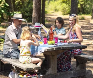 OT Pays de Saint Jean de Monts