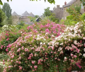 Office de Tourisme Mayenne Co