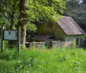 © Dolorès DELANOE - CCMA