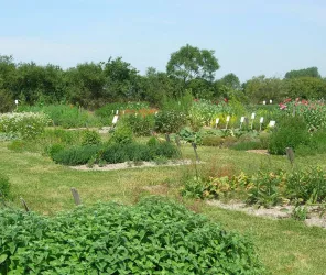 ©Le Jardin de la Cheverière