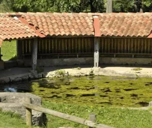 Saint-Hilaire-la-forêt