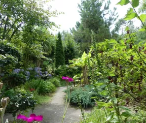 Tropicarium Bonzai La Baule