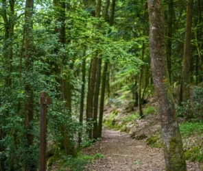 Office de tourisme de la 4CPS