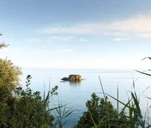 ©Alexandre Lamoureux