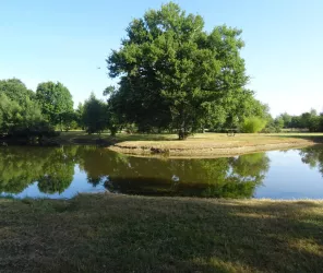 © Office de Tourisme Pays d’Ancenis