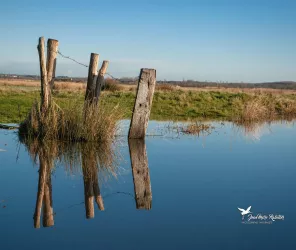 ©Jean-Marc-Rabiller