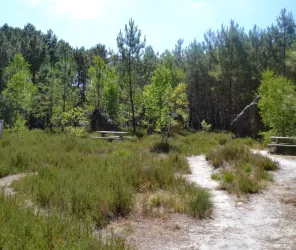 Bercé Belinois Tourisme