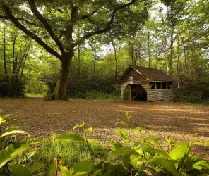 © Alexandre Lamoureux