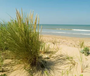 OT Pays de Saint Jean de Monts