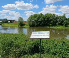 Sophie / Commune de Briollay