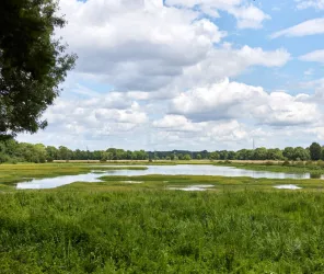 Destination Angers / A. Lamoureux