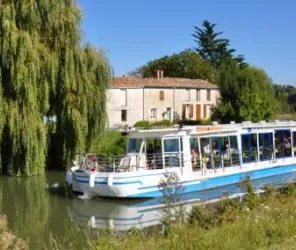 copyright le collibert