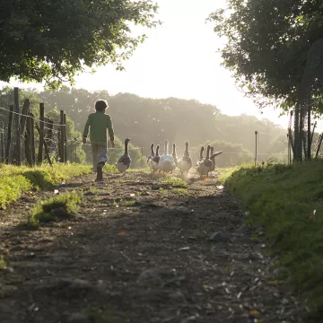 Cinco experiencias inolvidables para vivir en la granja